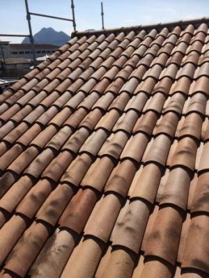 フランス瓦イメリスオメガ10　”ヴュートワ色”